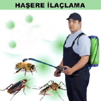 Bor Böcek İlaçlama